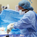 Exploring the Different Situations Where Surgery May Be Recommended